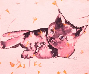 Playful Pink Kitten