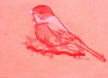 Red Bird on Branch