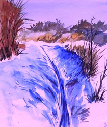 Snowy Winter Stream