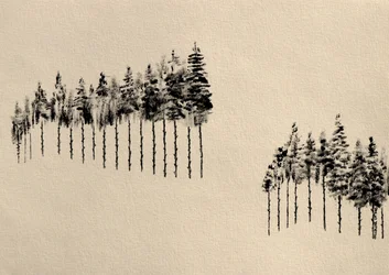 Stylized Pine Woods