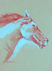 Vibrant Horse Head