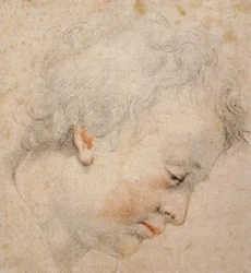 Head of a Young Man in Profile to the Right