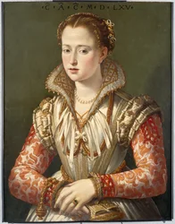 Portrait of a Young Woman