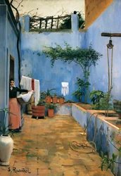 The Blue Court