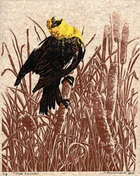 Cattail Cantata