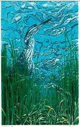 Pond Gazer