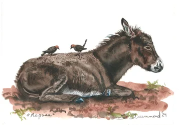 Repose