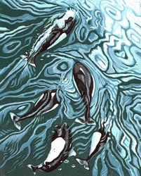 Wake Riders