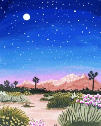Desert Starry Night