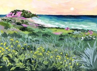 Wild Coast Sunset