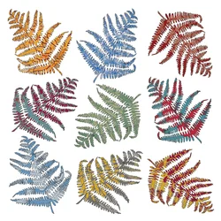 Ferns, 2012