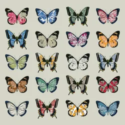Papillon