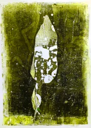 Abstract Leaf