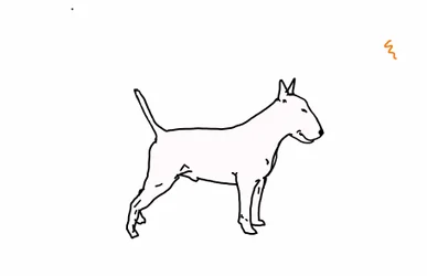 Bull Terrier