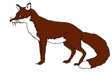 Fox, 2018