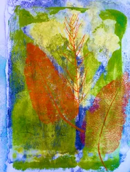 Orange Leaves