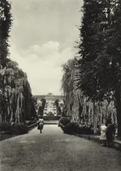 Potsdam, The Terraces of Sanssouci
