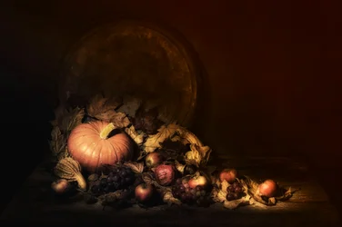 Dark Autumn Harvest