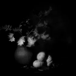 Dark Autumn Still Life