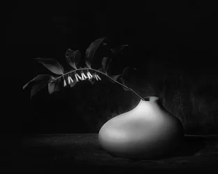 Dark Botanical Still Life