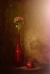 Dark Still Life Blooms