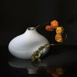 Elegant Physalis Still Life
