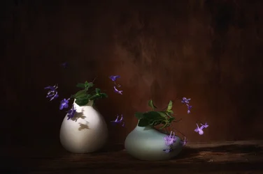 Floating Purple Blooms