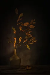 Moody Autumn Leaves