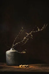 Moody Botanical Still Life