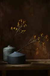 Moody Botanical Vases