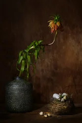Moody Floral Nest