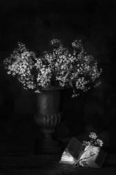 Moody Floral Still Life