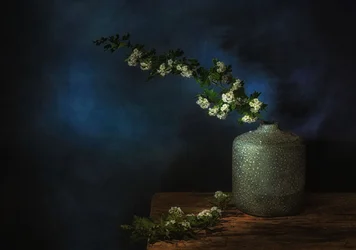 Moody Floral Still Life