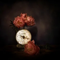 Pink Peonies on a Scale