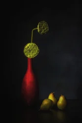 Red Vase, Lotus, Pears