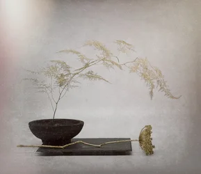 Serene Dried Botanical