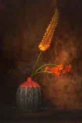 Warm Toned Floral Still Life