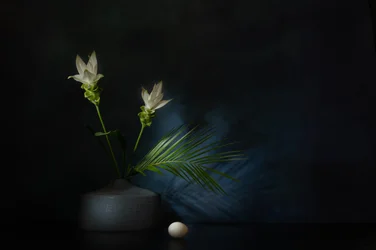 White Flowers Dark Still Life