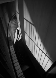 Solitary Shadow Walk