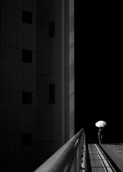 Solitary Umbrella Walker