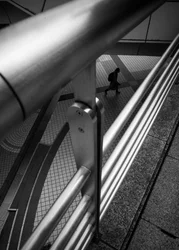 Urban Geometry Walk