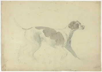 Fox Hound (front); Sketches of Horse and Rider (back)
