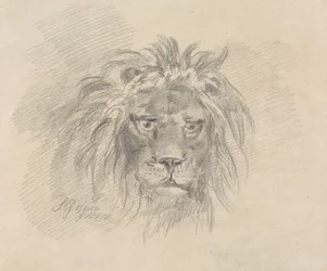 Head of a Lion