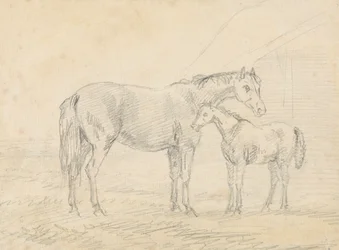 Mare with Foal
