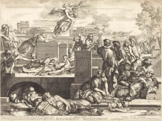Aegros Curare