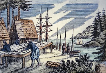 Fishermen drying cod in New England, from a 17th century woodcut