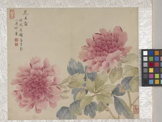 8 Leaf Album of Flowers, mid 1700s