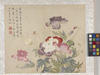 8 Leaf Album of Flowers, mid 1700s