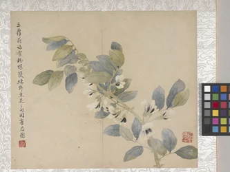8 Leaf Album Of Flowers