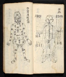 Acupuncture points along the central line of the body, from Jing Guan Qi Zhi, 